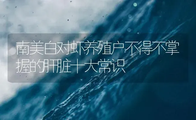 南美白对虾养殖户不得不掌握的肝脏十大常识 | 海水养殖