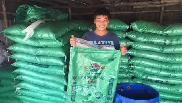 澳华草鱼鱼种料到底有多好？中山养殖户现身说法
