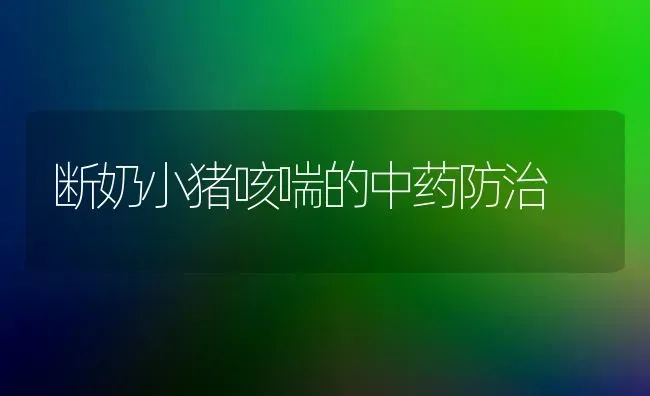 断奶小猪咳喘的中药防治 | 养殖病虫害防治