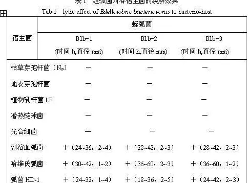 噬菌蛭弧菌的宿主范围和裂解效果分析