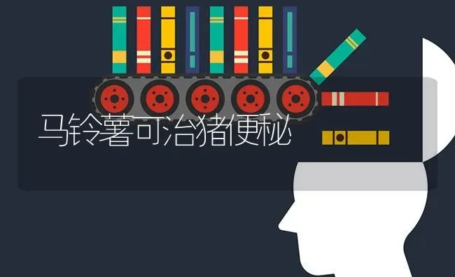 马铃薯可治猪便秘 | 家畜养殖