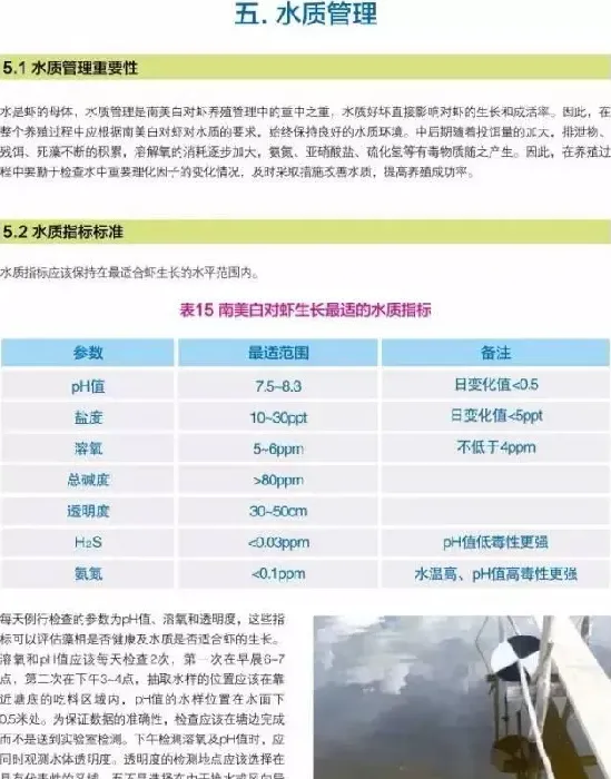 南美白对虾养殖户如何做好水质管理工作