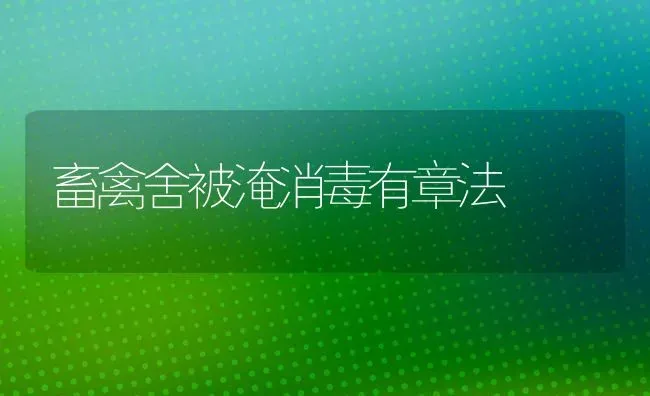 畜禽舍被淹消毒有章法 | 家禽养殖