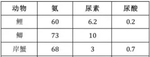 水生动物氨氮、亚硝酸盐中毒死亡频发，但盲目心急也于事无补，快来看正确的解决方案