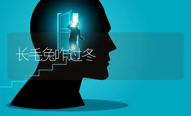 长毛兔咋过冬 | 家畜养殖