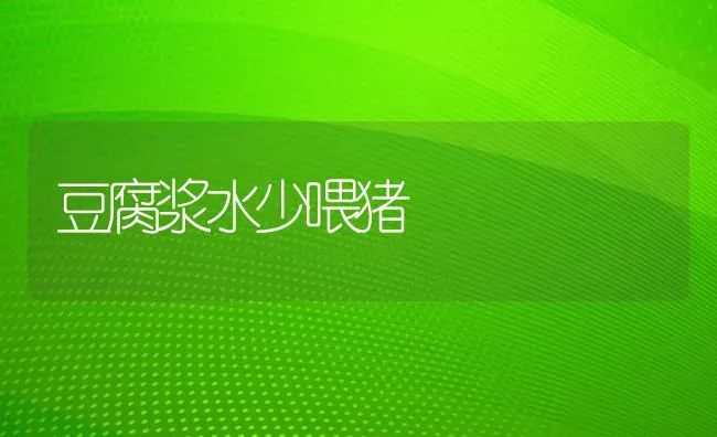 豆腐浆水少喂猪 | 家畜养殖