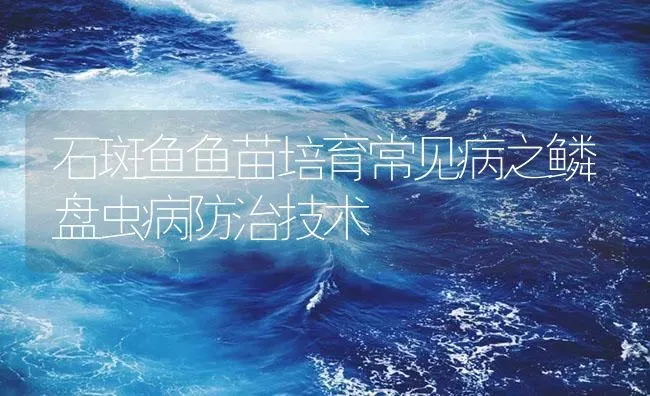 石斑鱼鱼苗培育常见病之鳞盘虫病防治技术 | 海水养殖