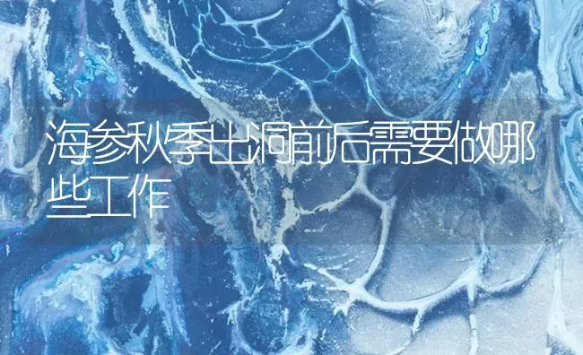 海参秋季出洞前后需要做哪些工作 | 海水养殖