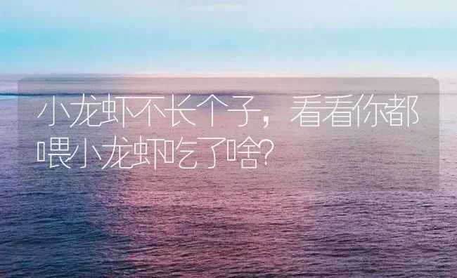 小龙虾不长个子，看看你都喂小龙虾吃了啥？ | 海水养殖