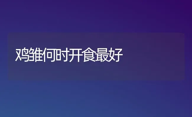 鸡雏何时开食最好 | 家禽养殖