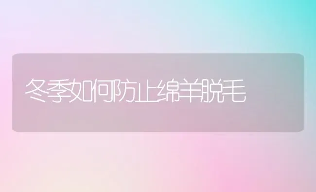 冬季如何防止绵羊脱毛 | 家畜养殖