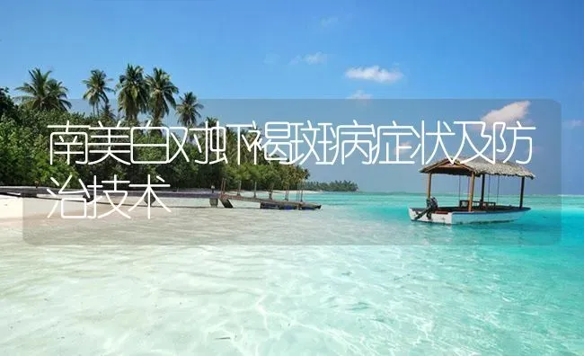 南美白对虾褐斑病症状及防治技术 | 海水养殖