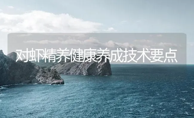 对虾精养健康养成技术要点 | 海水养殖