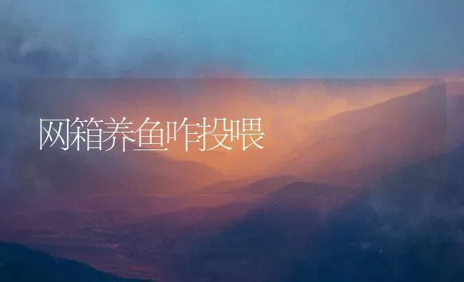 网箱养鱼咋投喂 | 淡水养殖