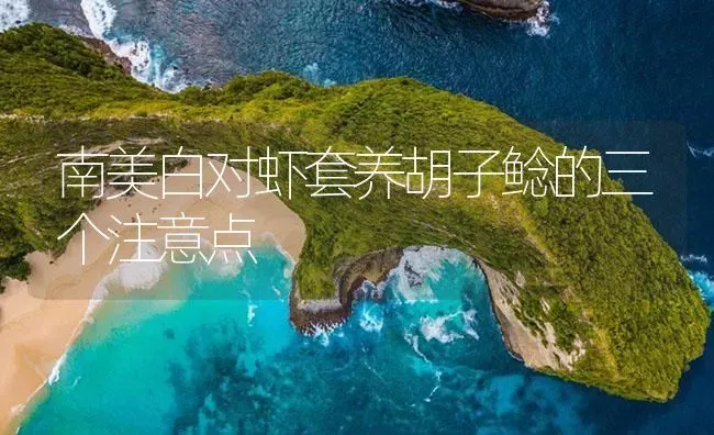 南美白对虾套养胡子鲶的三个注意点 | 海水养殖