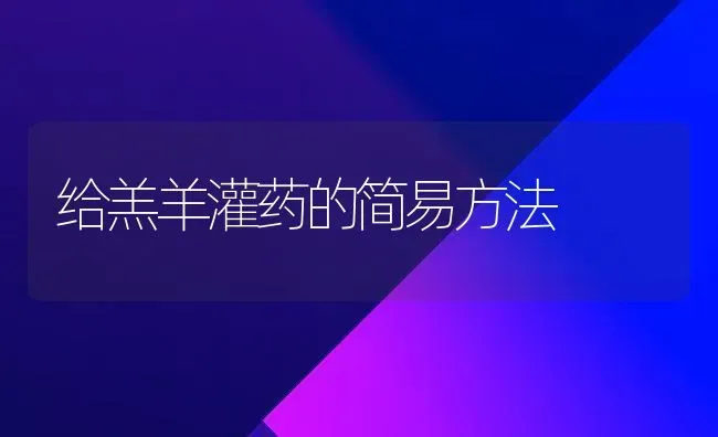 给羔羊灌药的简易方法 | 养殖病虫害防治