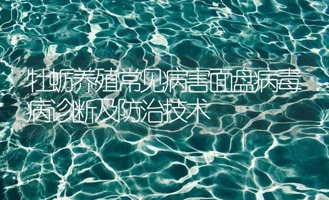 牡蛎养殖常见病害面盘病毒病诊断及防治技术 | 养殖病虫害防治
