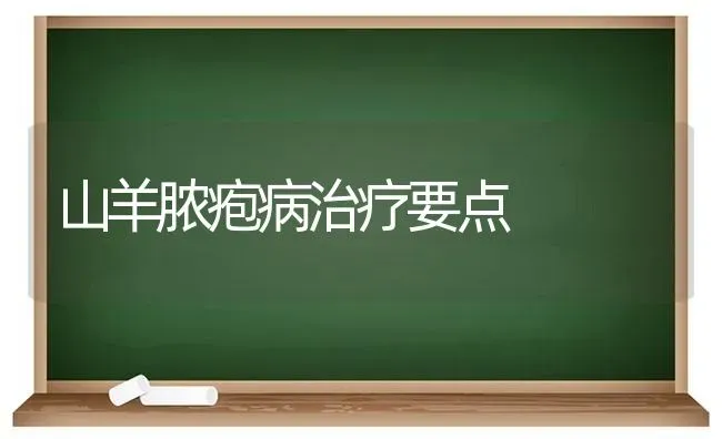 山羊脓疱病治疗要点 | 家畜养殖