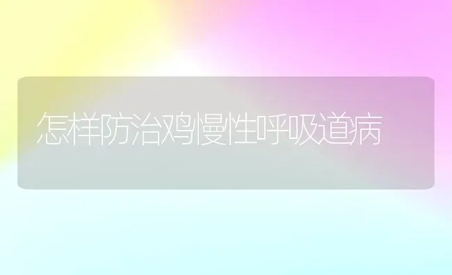 怎样防治鸡慢性呼吸道病 | 家禽养殖