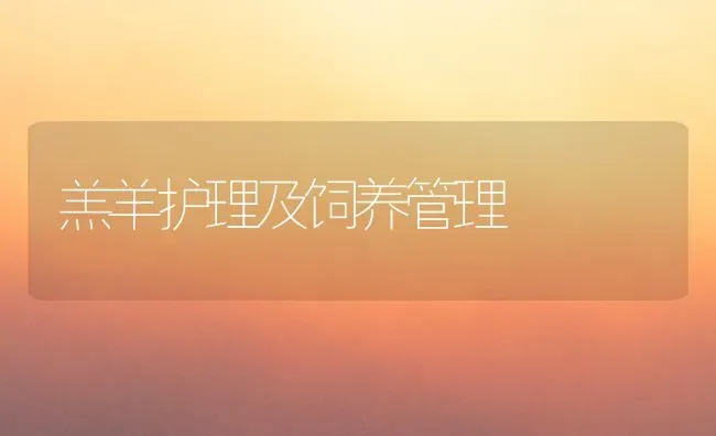 羔羊护理及饲养管理 | 家畜养殖