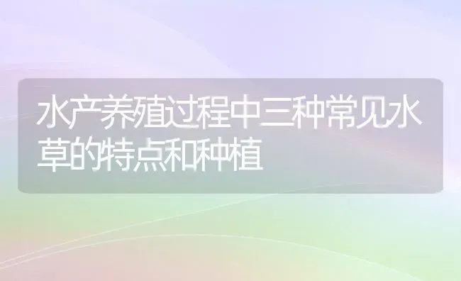 水产养殖过程中三种常见水草的特点和种植 | 动物养殖百科