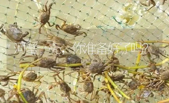 河蟹一壳，你准备好了吗？ | 淡水养殖