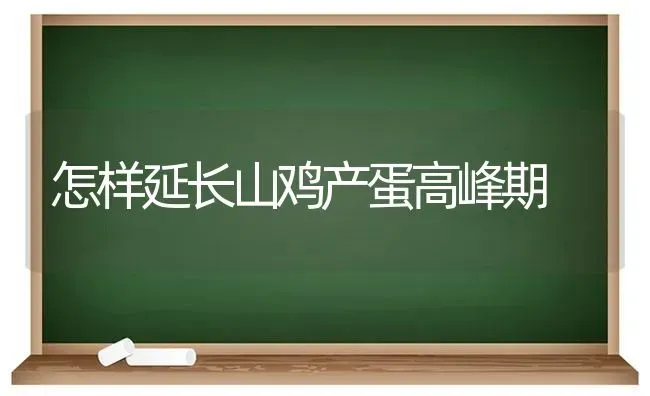 怎样延长山鸡产蛋高峰期 | 家禽养殖