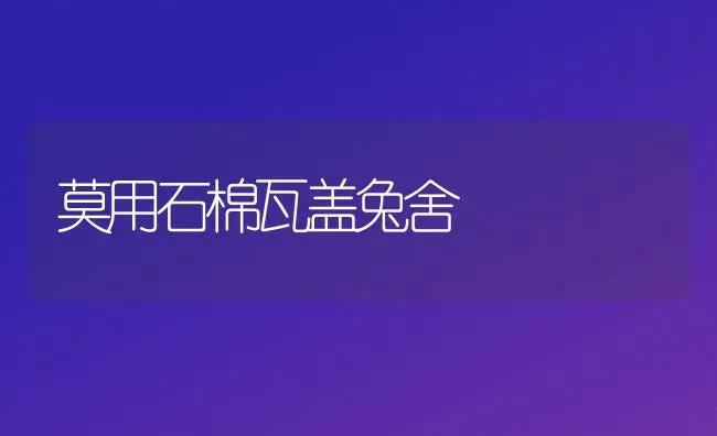 莫用石棉瓦盖兔舍 | 家畜养殖