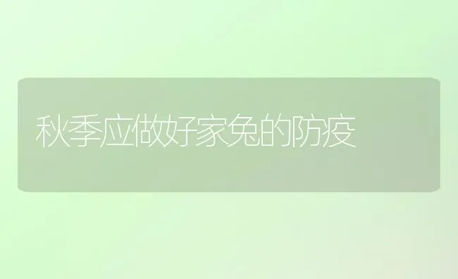 秋季应做好家兔的防疫 | 家畜养殖