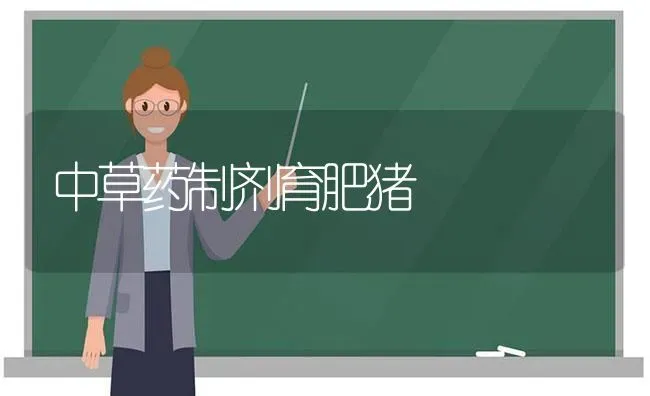 中草药制剂育肥猪 | 养殖病虫害防治