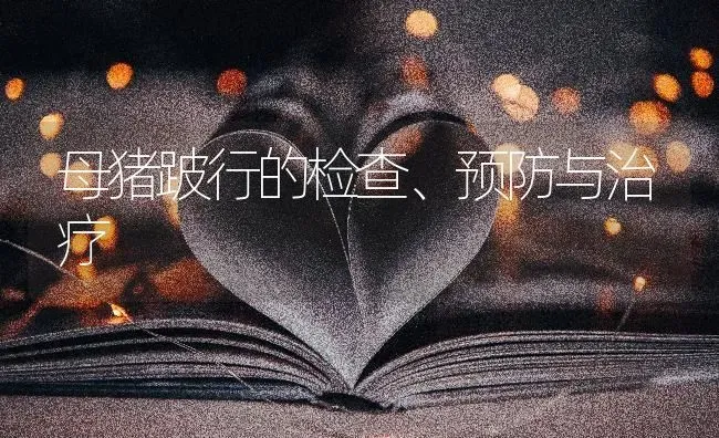 母猪跛行的检查、预防与治疗 | 家畜养殖