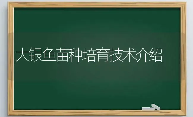 大银鱼苗种培育技术介绍 | 淡水养殖