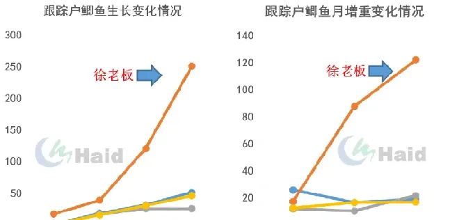 鲤鱼鲫鱼如何高效养殖？模式管理缺一不可！