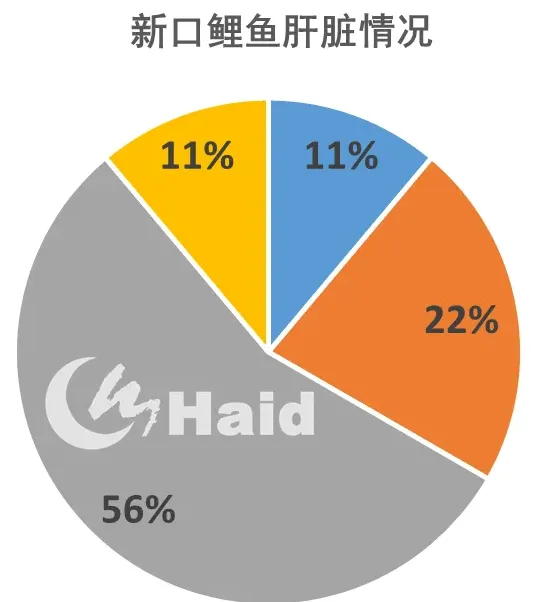 鲤鱼鲫鱼如何高效养殖？模式管理缺一不可！