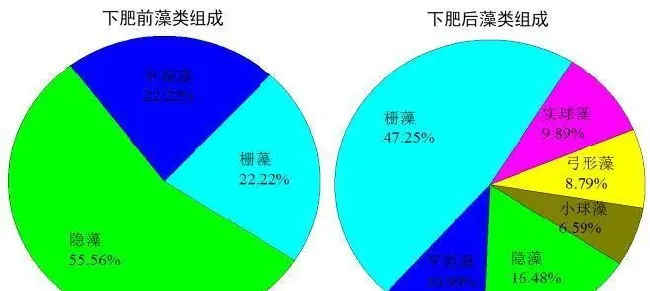 低温水肥吃食好的秘诀—海联科低温肥水组合方案！