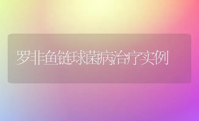 罗非鱼链球菌病治疗实例 | 淡水养殖