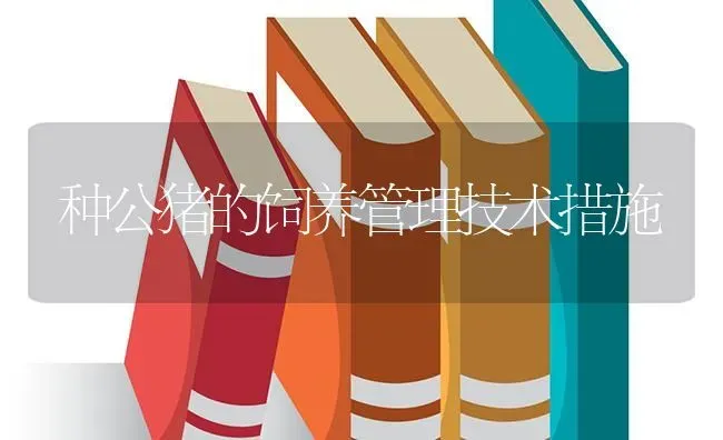 种公猪的饲养管理技术措施 | 家畜养殖