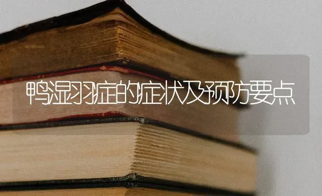 鸭湿羽症的症状及预防要点 | 家禽养殖