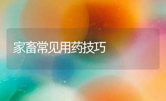 家畜常见用药技巧 | 养殖病虫害防治