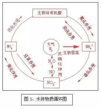 水产养殖水体常见理化指标的作用