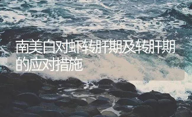 南美白对虾转肝期及转肝期的应对措施 | 海水养殖
