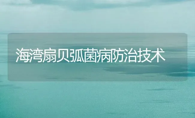 海湾扇贝弧菌病防治技术 | 海水养殖