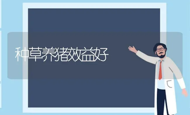 种草养猪效益好 | 家畜养殖