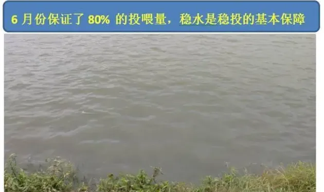 阴雨天有些水产养殖户为什么能保持较高投喂量