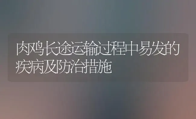 肉鸡长途运输过程中易发的疾病及防治措施 | 家禽养殖