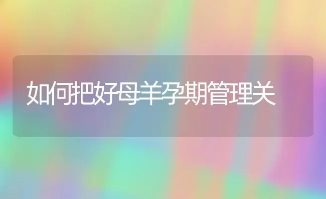 如何把好母羊孕期管理关 | 家畜养殖