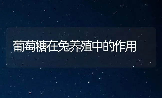 葡萄糖在兔养殖中的作用 | 家畜养殖