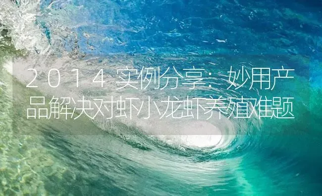2014实例分享：妙用产品解决对虾小龙虾养殖难题 | 海水养殖