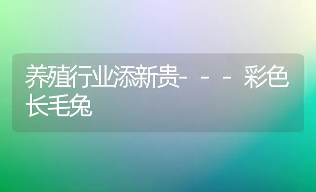 养殖行业添新贵---彩色长毛兔 | 家畜养殖