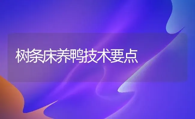 树条床养鸭技术要点 | 家禽养殖